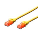 DK-1617-0025/Y